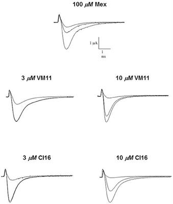 Dual Action of Mexiletine and Its Pyrroline Derivatives as Skeletal Muscle Sodium Channel Blockers and Anti-oxidant Compounds: Toward Novel Therapeutic Potential